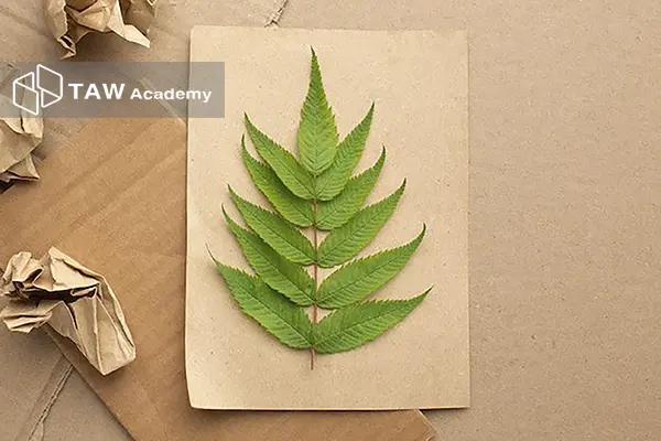 مزایای بازیافت کاغذ