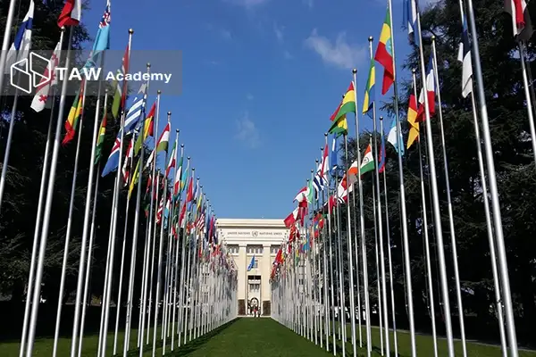 کنوانسیون بازل