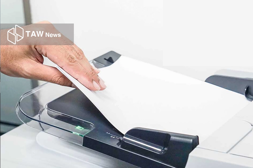 سال پر نوسان کاغذ؛ از ثبات کوتاه تا جهش طولانی